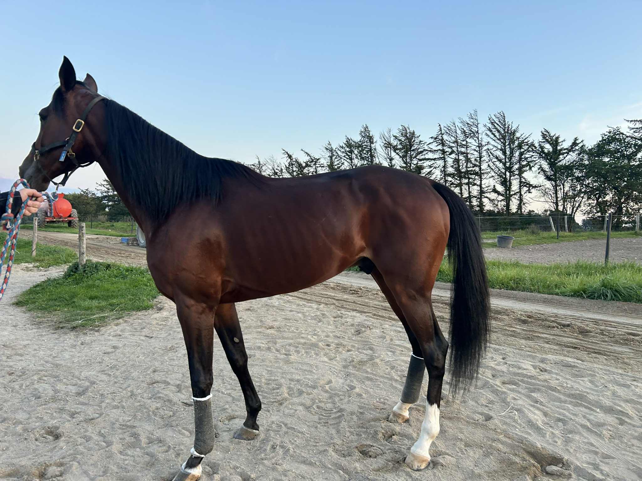 Kort nyt fra ind- og udland 5a879b95-c635-4a4b-bd2e-cdd05e34aee8