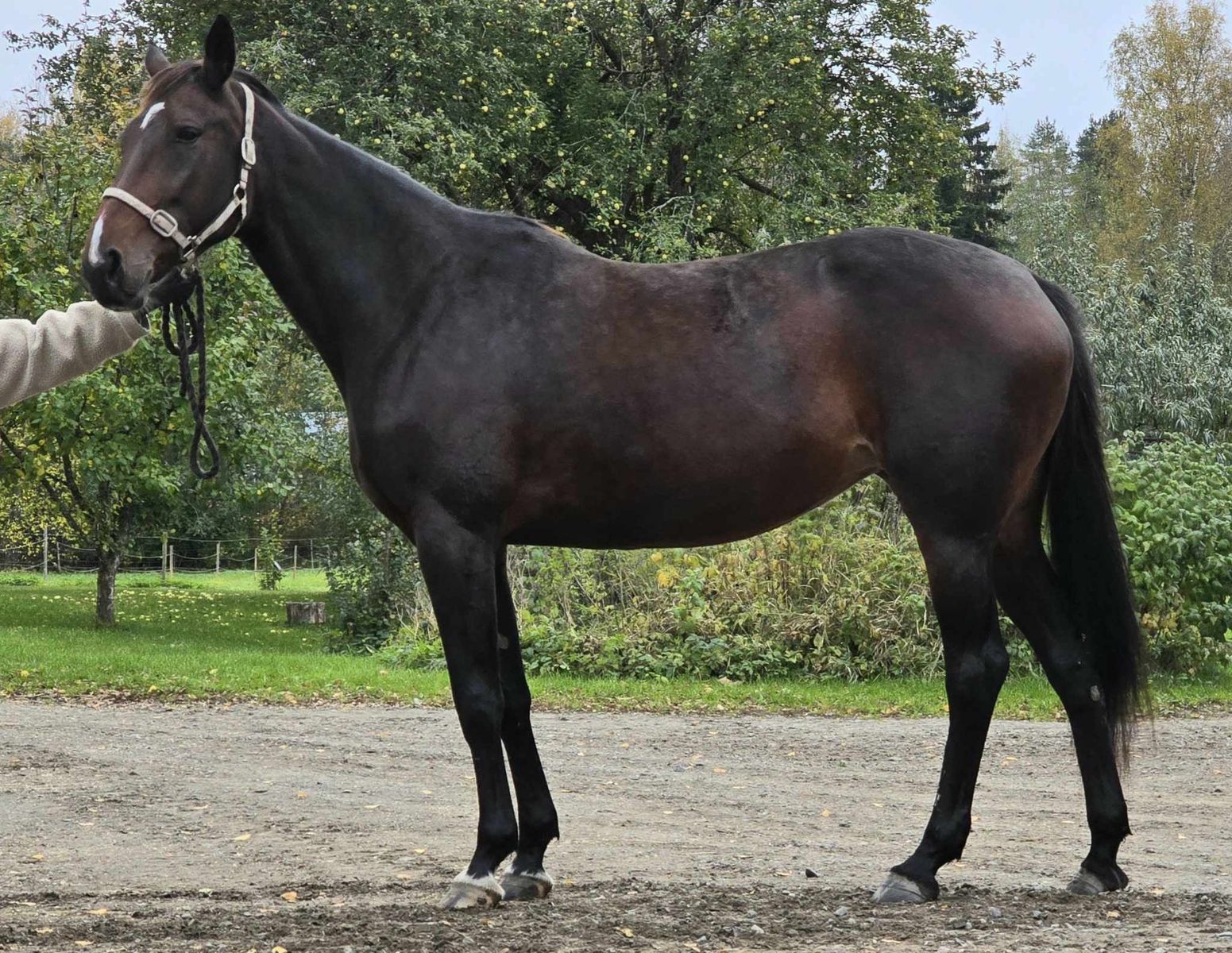 65be7e7497d08a34608d4766784994c5