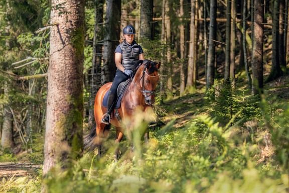Danskerne gik, red og kørte hestevelfærden hjem 800c049e-3f32-4ba7-bf2f-52d2113f0810-w_576_h_2000