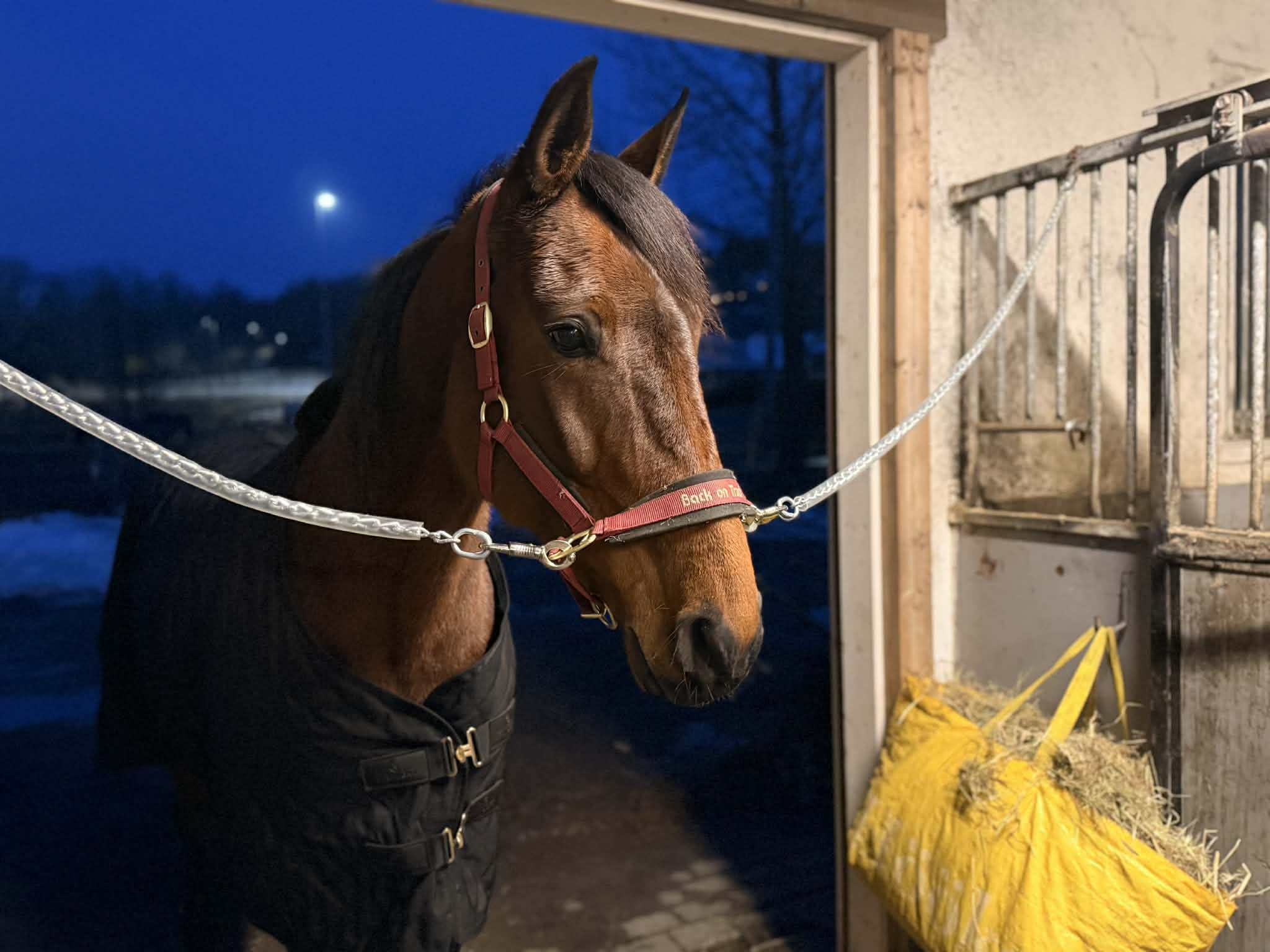 82506334 c4e5 46fe 9ecc 4f675d2ea0c3