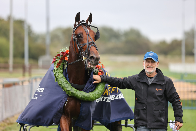 Aalborg - Sådan gik det 895A0045