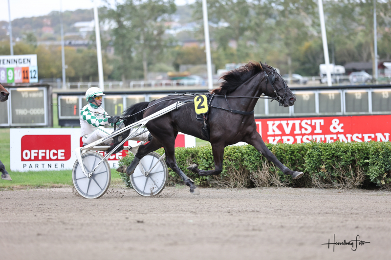 Resultater fra fredagens løb på Spar Nord Arena 895A1816