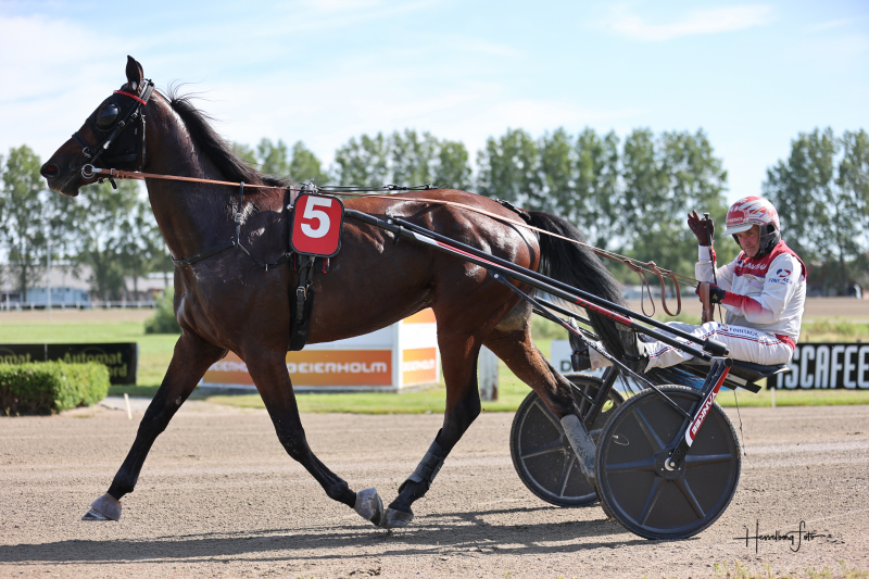 Grand Circle 3-års Championat Consolation til Labour Spring 895A2190