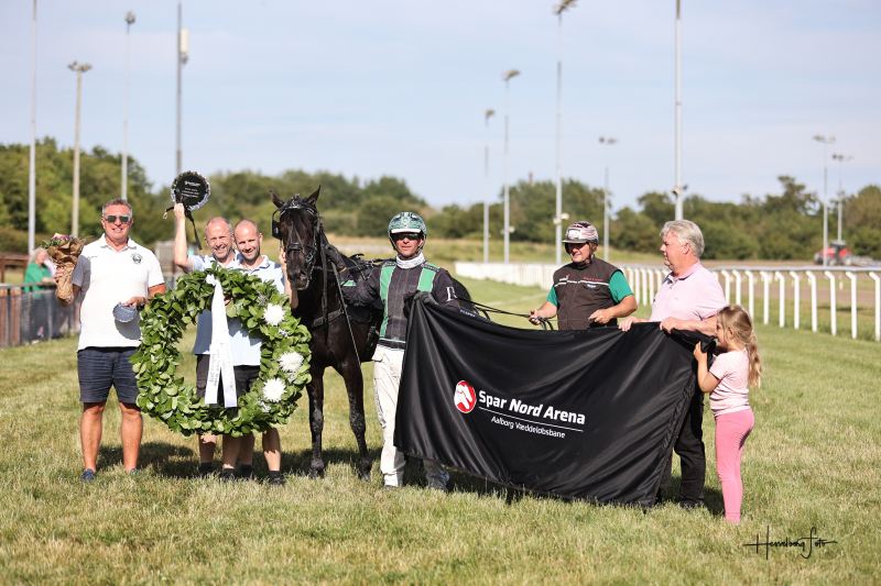 Lonesomerider overlegen - Grand Circle 3-års Championat 2025 for hingste/vallakker 895A2401