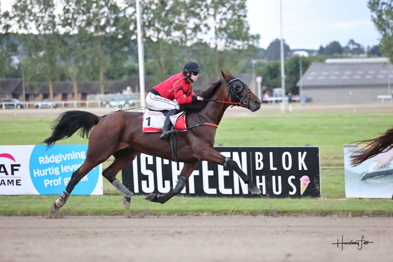 Hun er dygtig - Camilla Munk Boeck 895A2780