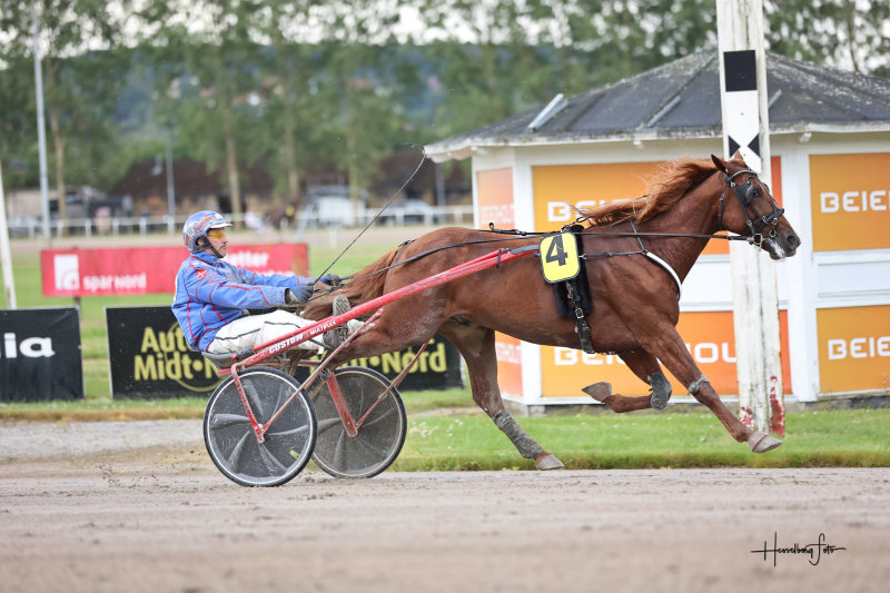 Aalborg - Sådan er det gået Ivanhoe