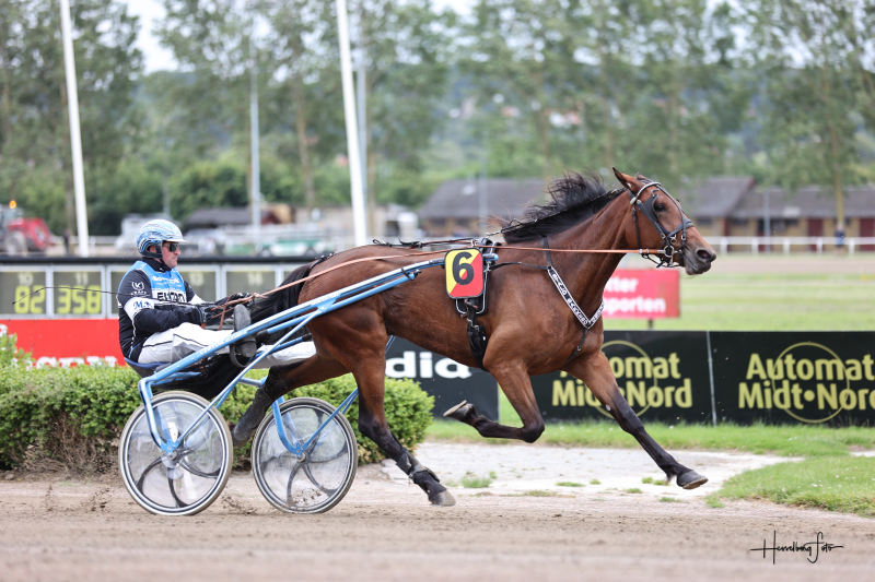 Salgsmenuen - Nyt salg 895A4169 (1)