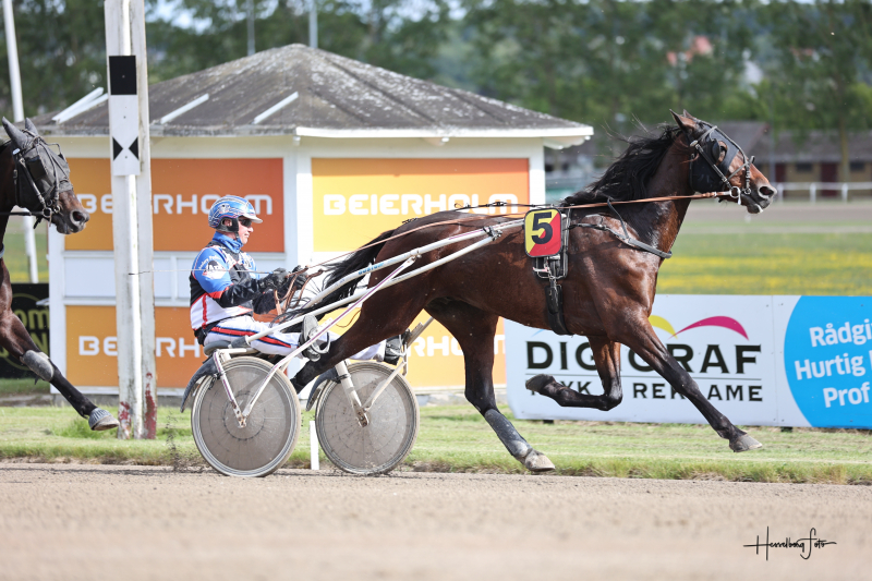 Hurtig handel - Luca formidlet 895A5293