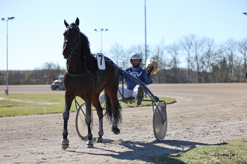 Gordon og Pure Caviar spurtede bedst 895A9061