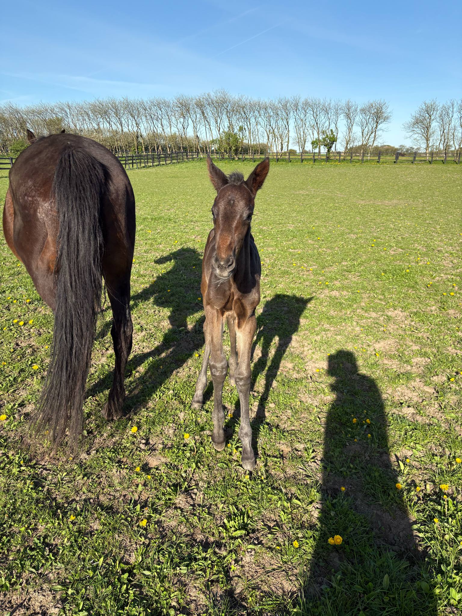 Kort nyt 8a83aed8-83af-4c74-abab-fd813212c00d