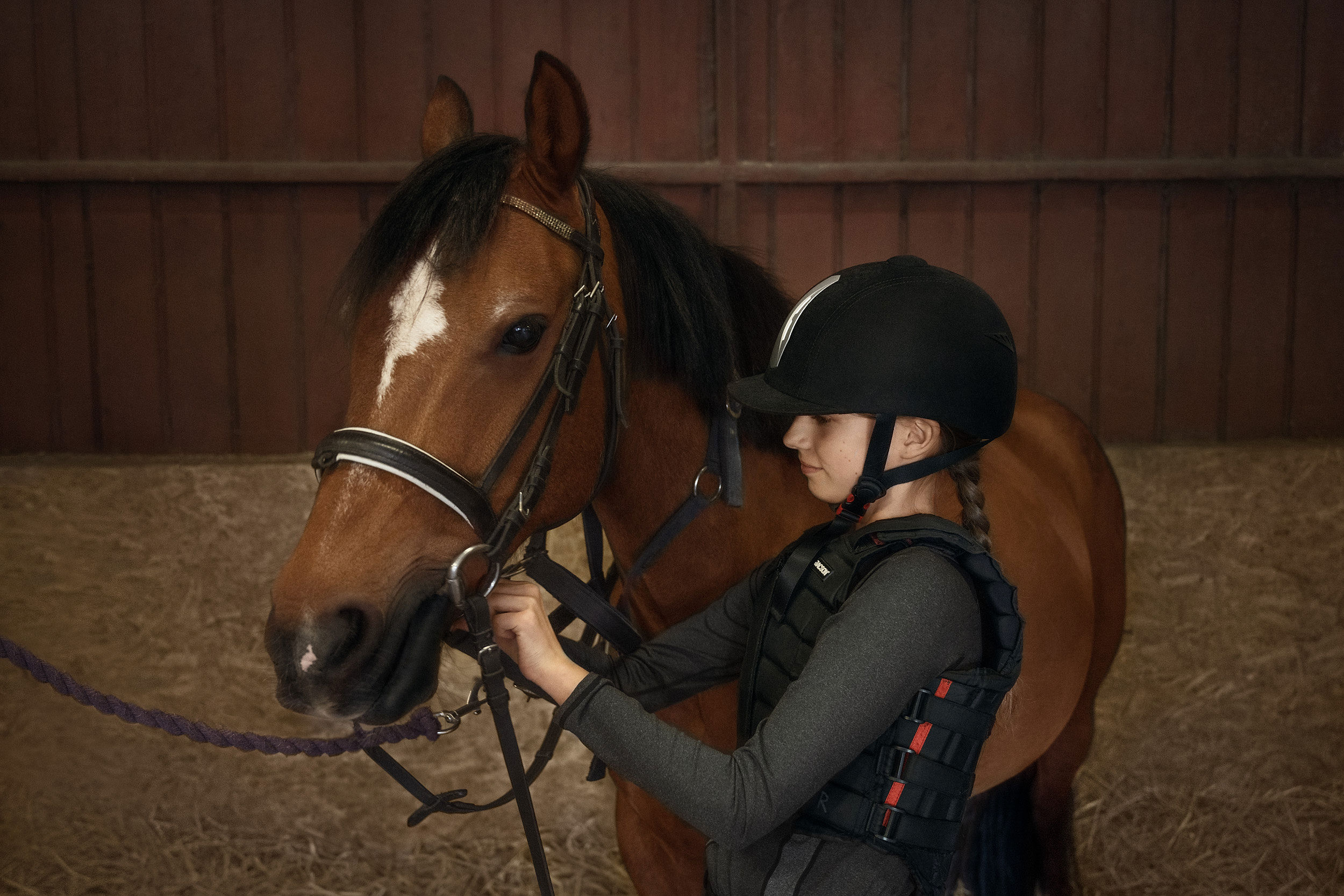 Ejere kan mindste risiko for hestens halthed 8ab5c93d-a789-4dee-b3a3-0648dd325491