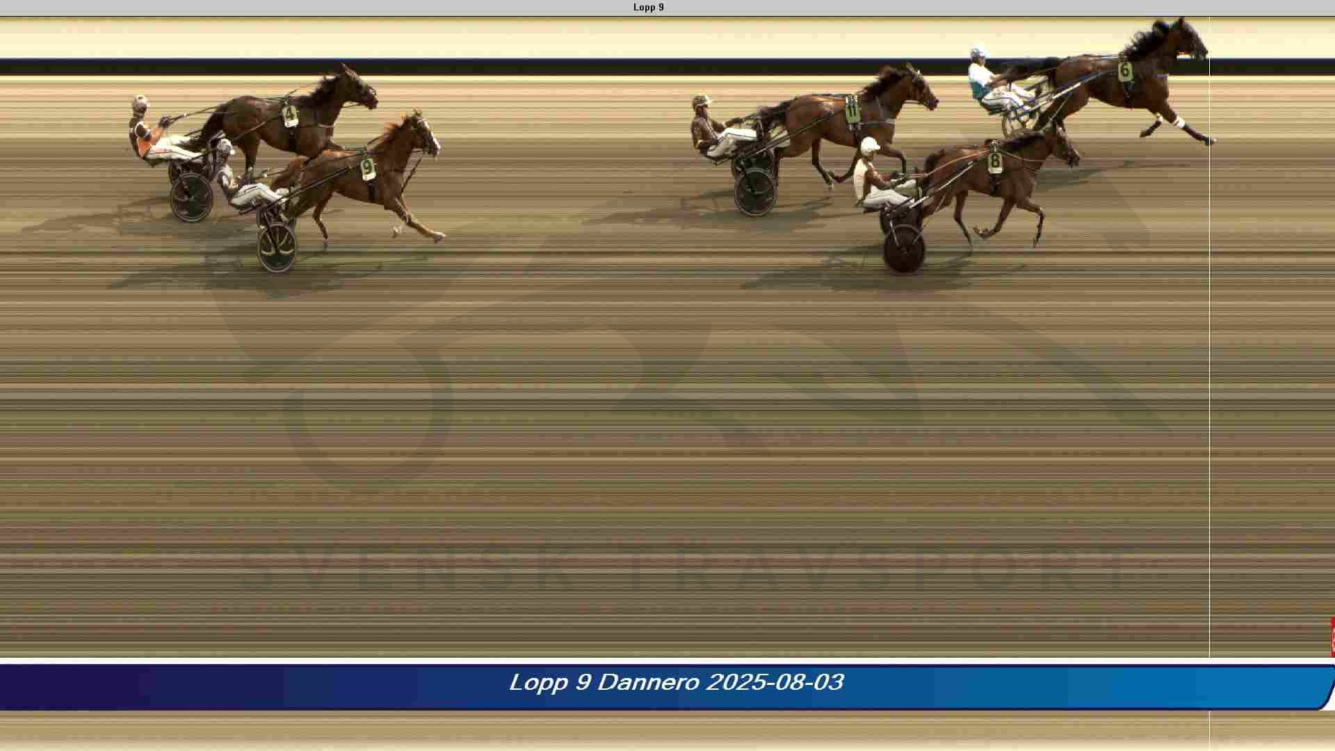 Dansk opdræt sikrer 100.000 SEK 9