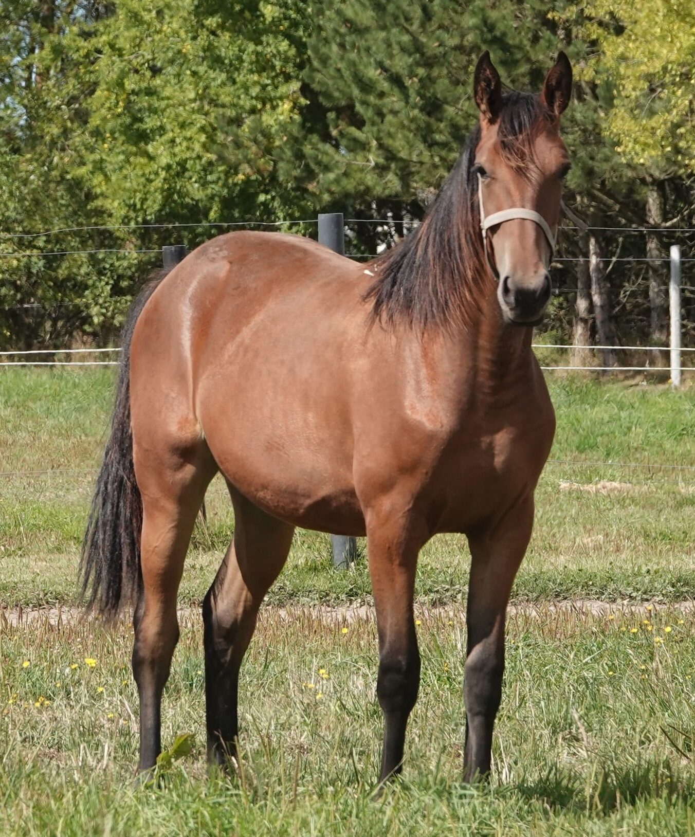 93f7fe70 6c54 4a76 9a88 044872378d86 e1757450768387