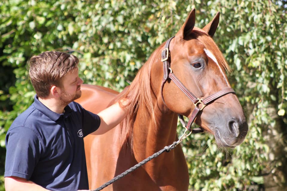 95440753 2955957337851254 8163184390906576896 n 1