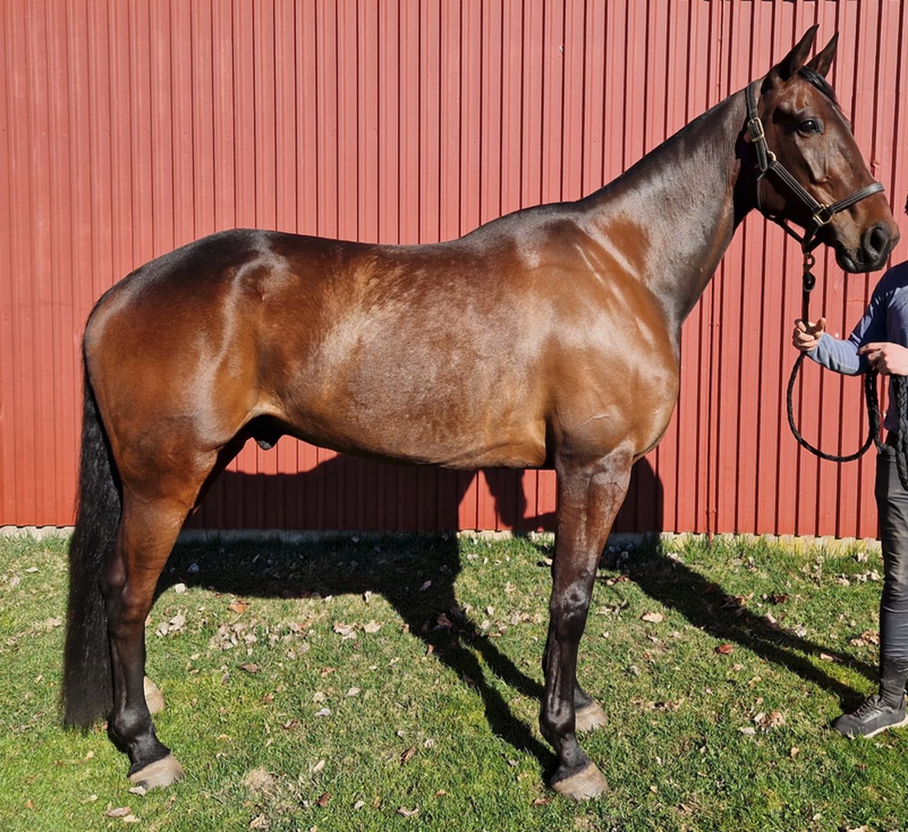 9e8f7a2f6e80301ca5b0805a749c656c