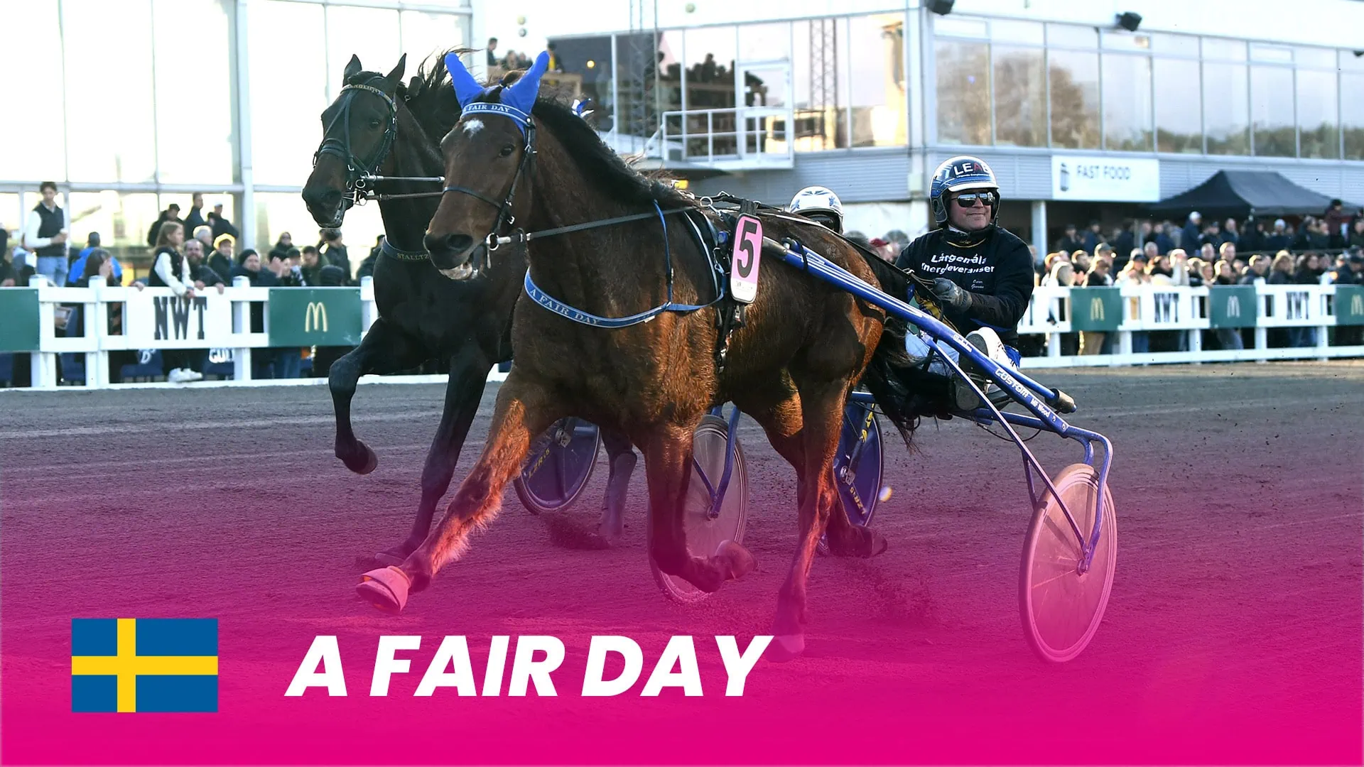 Turbulent tid: Elisabeth Almheden nulstiller efter svær sommer A-Fair-Day_1920X180