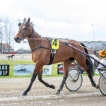 Sådan er det gået i Aalborg AY2X0404_kopier