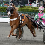 Debutant var ved at chokere AidanWee_5545