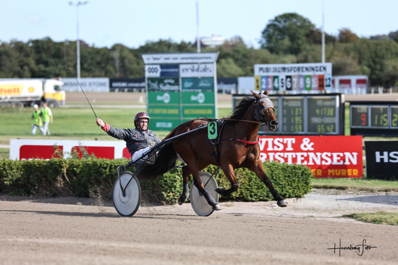 Alltherightmoves 9828