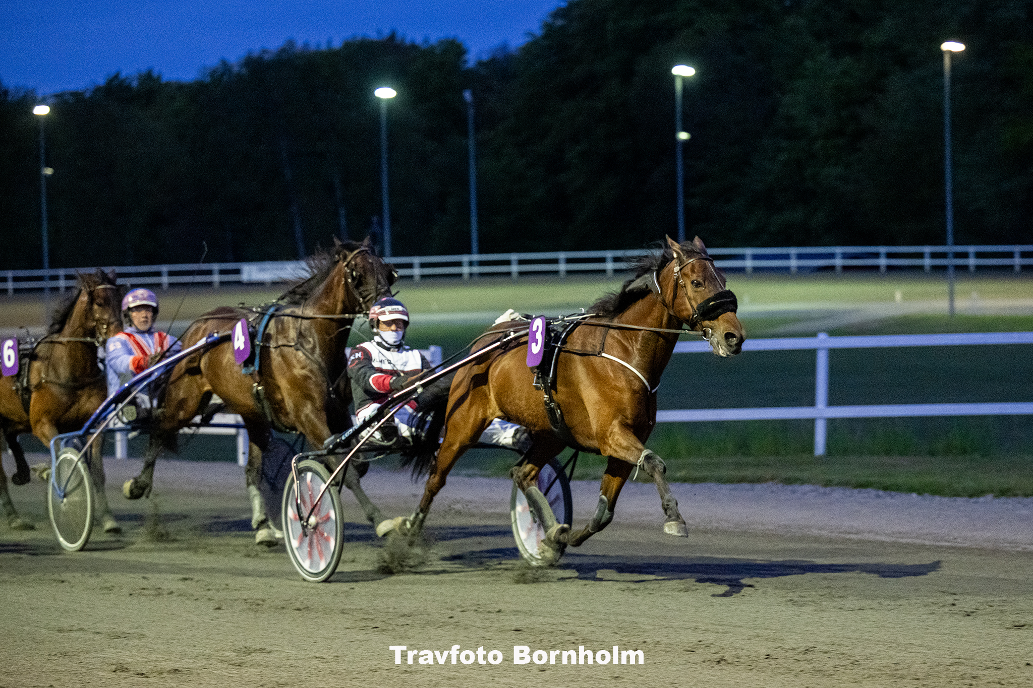 Apollo Damgaard med Niels Kristian Hansen 17 maj 2025 Fotograf Torben Ager Travfoto Bornholm TKA 9668