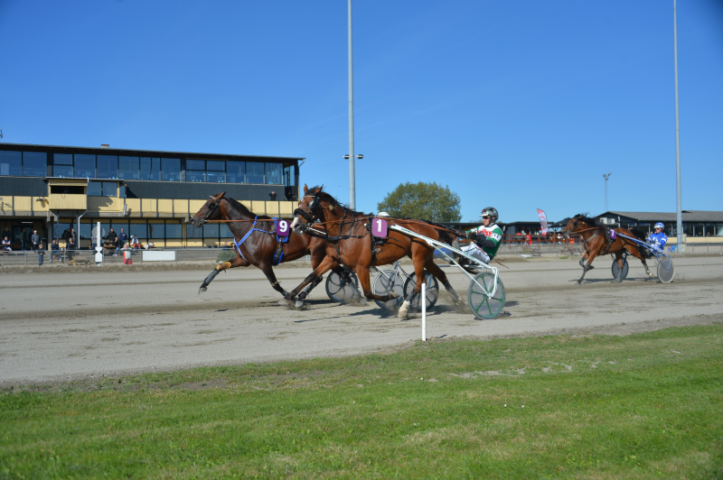 Attention B gedal 250927