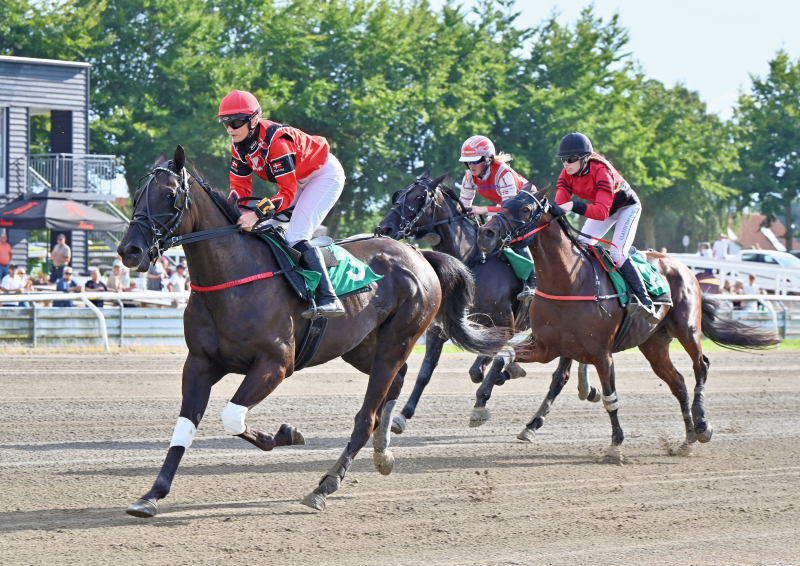 BLACK MOUNTAIN DSC 1351