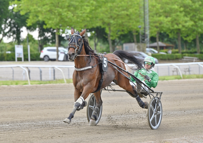BORDEAUX FACE DSC 10001 167