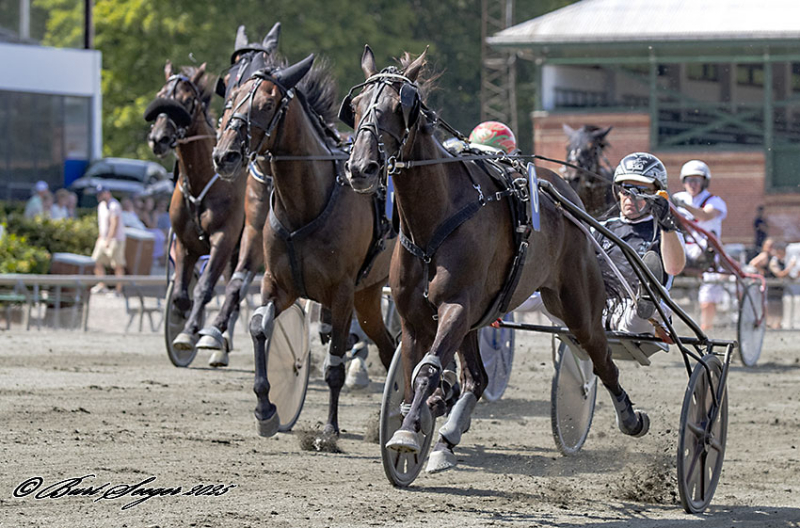 BORUPS ATLAS S2 5504