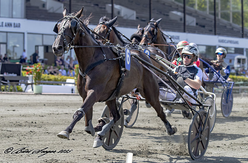 BORUPS ATLAS S2 5514