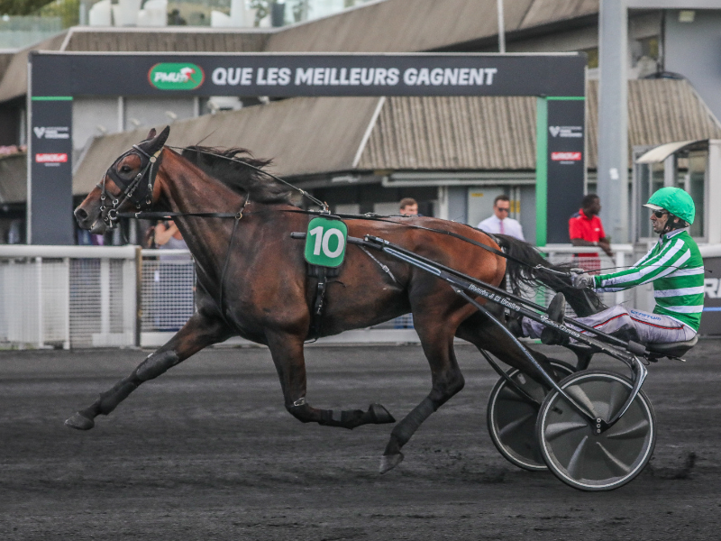 BV 20230902163340BV1 9715 800x600 1