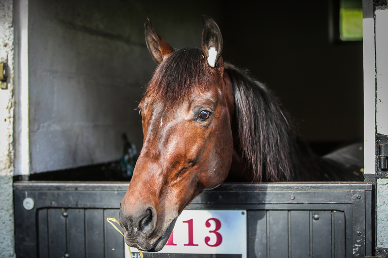 BV 20231119125103BV2 4868 1