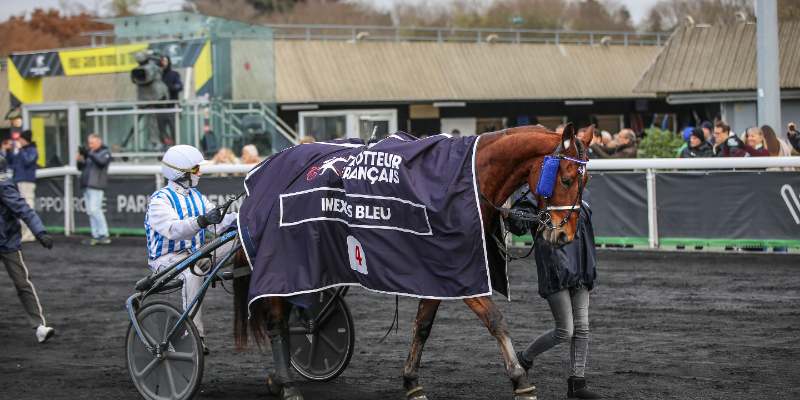 Åbner døren for Elitloppet BV_20231203160558BV2_1822-800x400