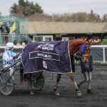 BV_20231203160558BV2_1822-800x600