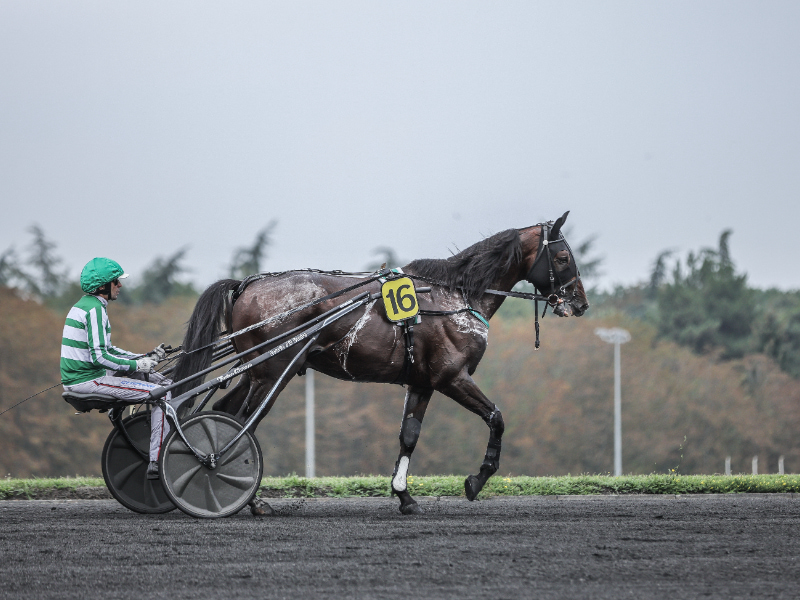 BV 20240831153043A06A0833 800x600 1