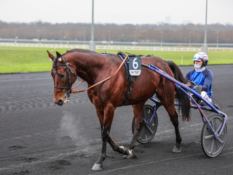 BV 20241229134644BV 9180 800x599 1