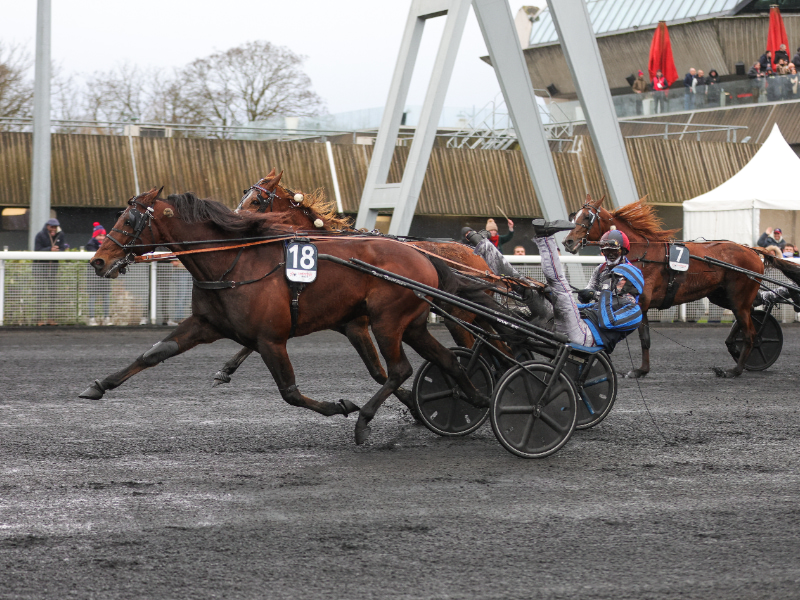 BV 20250126162833BV 0244 800x600 1