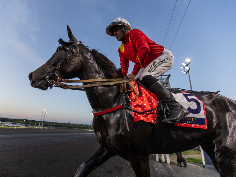 Dansk deltagelse i fransk topløb BV_20250530214420BV__0202-800×600