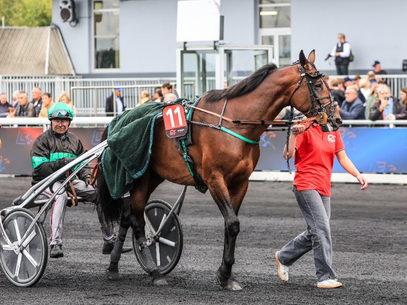 Vandt på Copenhagen Cup-dagen - Travet.dk
