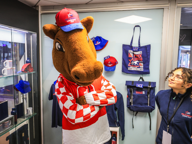 BV 20251116131009BV 8001 800x600 1