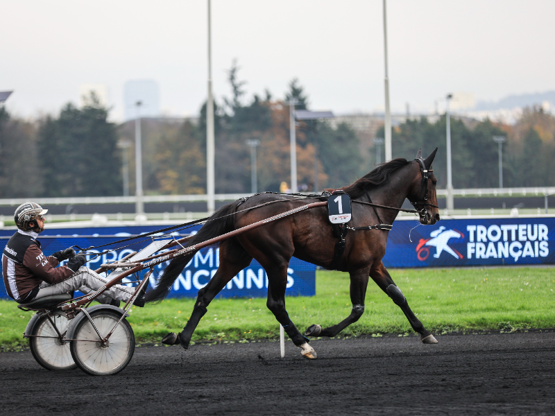 BV 20251116134400BV 8595 800x600 1