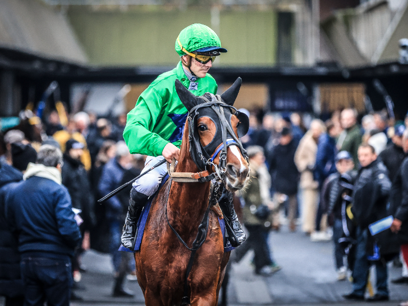 Det er muligt - Publikumstilstrømningen fortsætter BV_20251214155240BV__6668-800x600