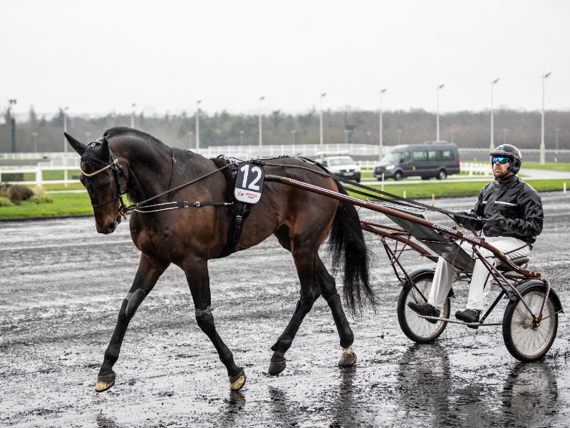 BV 20251221133157BV 1464 800x600 1