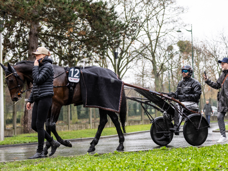 BV 20251221134745BV 2049 800x600 1