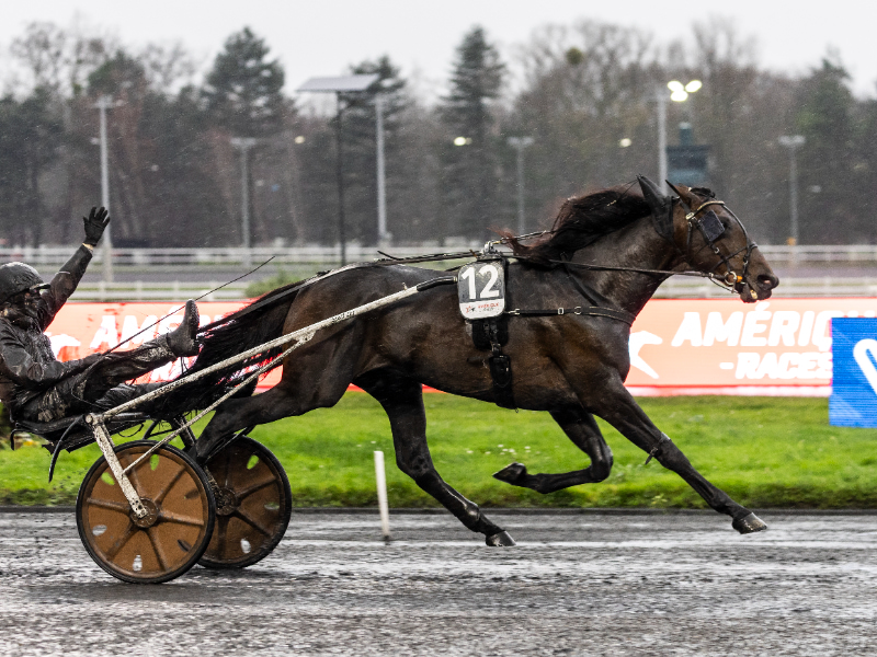 BV 20251221151858BV 5074 800x600 1