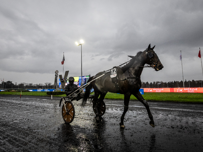 BV 20251221152332BV 5187 800x600 1