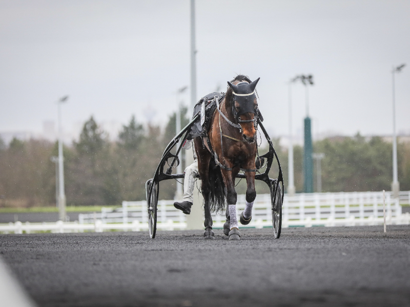 Tophest misser vintermeetinget B_20240225142451BV1_2170-800x600