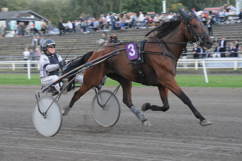 BaunelysDiamant 4338