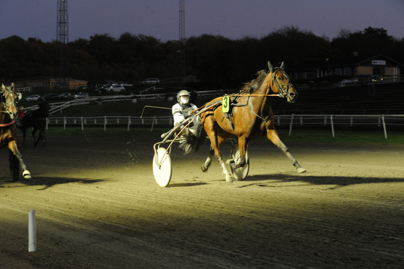 BaunelysDiamant 5060