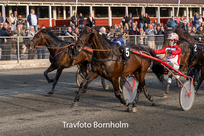 Bold Request med Mads Petersen 26 maJ 2026 Fotograf Torben Ager Travfoto Bornholm TKA 4320