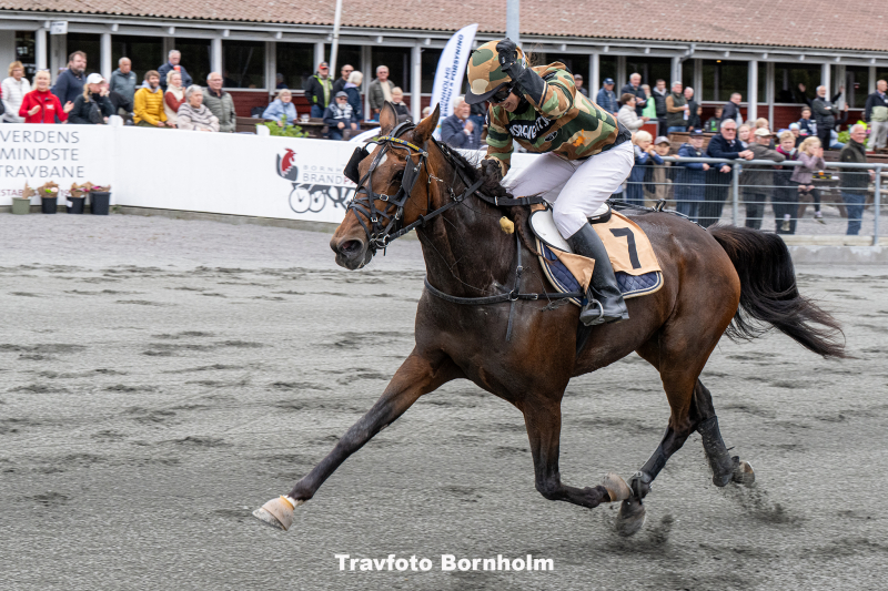 Bonny Boy med Annika Schou Lund 28 september 2025 Fotograf Torben Ager Travfoto Bornholm TKA 1948